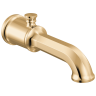 Polished Gold