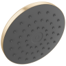 Champagne Bronze