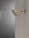 DELTA Universal Showering Components PivotPro Raincan Shower Head — Champagne Bronze