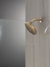 DELTA Universal Showering Components PivotPro Raincan Shower Head — Champagne Bronze