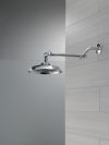 DELTA Universal Showering Components Bell Shower Head with Adjustable Arm Extender — Chrome