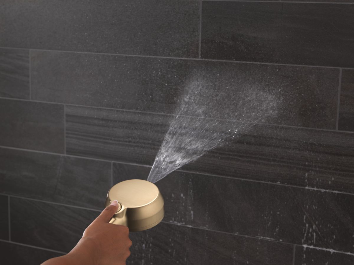 DELTA Universal Showering Components 5-Setting In2ition with ProClean — Champagne Bronze