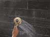 DELTA Universal Showering Components PivotPro 3-in-1 Combination Shower with TouchClean Spray Face — Champagne Bronze