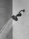 DELTA Clarifi Standard Shower Filter Attachment — Matte Black