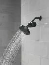 DELTA Clarifi Standard Shower Filter Attachment — Matte Black