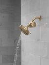 DELTA Clarifi Standard Shower Filter Attachment — Champagne Bronze