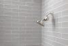 DELTA Clarifi Standard Shower Filter Attachment — Stainless
