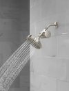 DELTA Clarifi Standard Shower Filter Attachment — Stainless