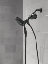 DELTA Clarifi Shower Filter Attachment with 4-Setting In2ition — Matte Black
