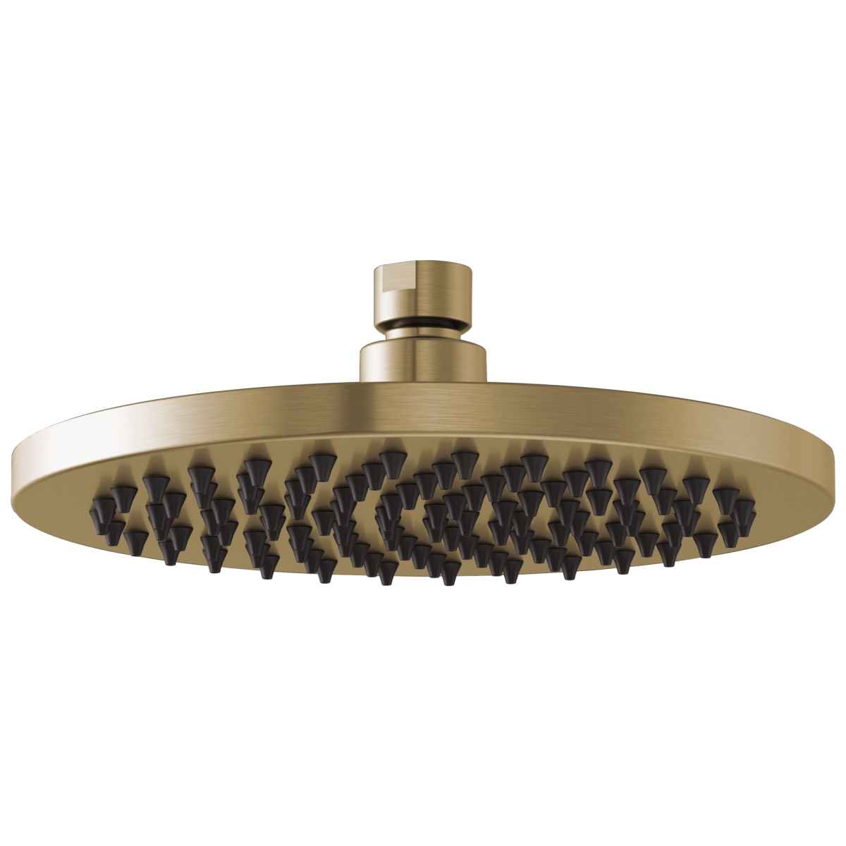 BRIZO Essential Shower 8" Linear Round Single-Function Raincan Shower Head - 2.5 GPM — Luxe Gold