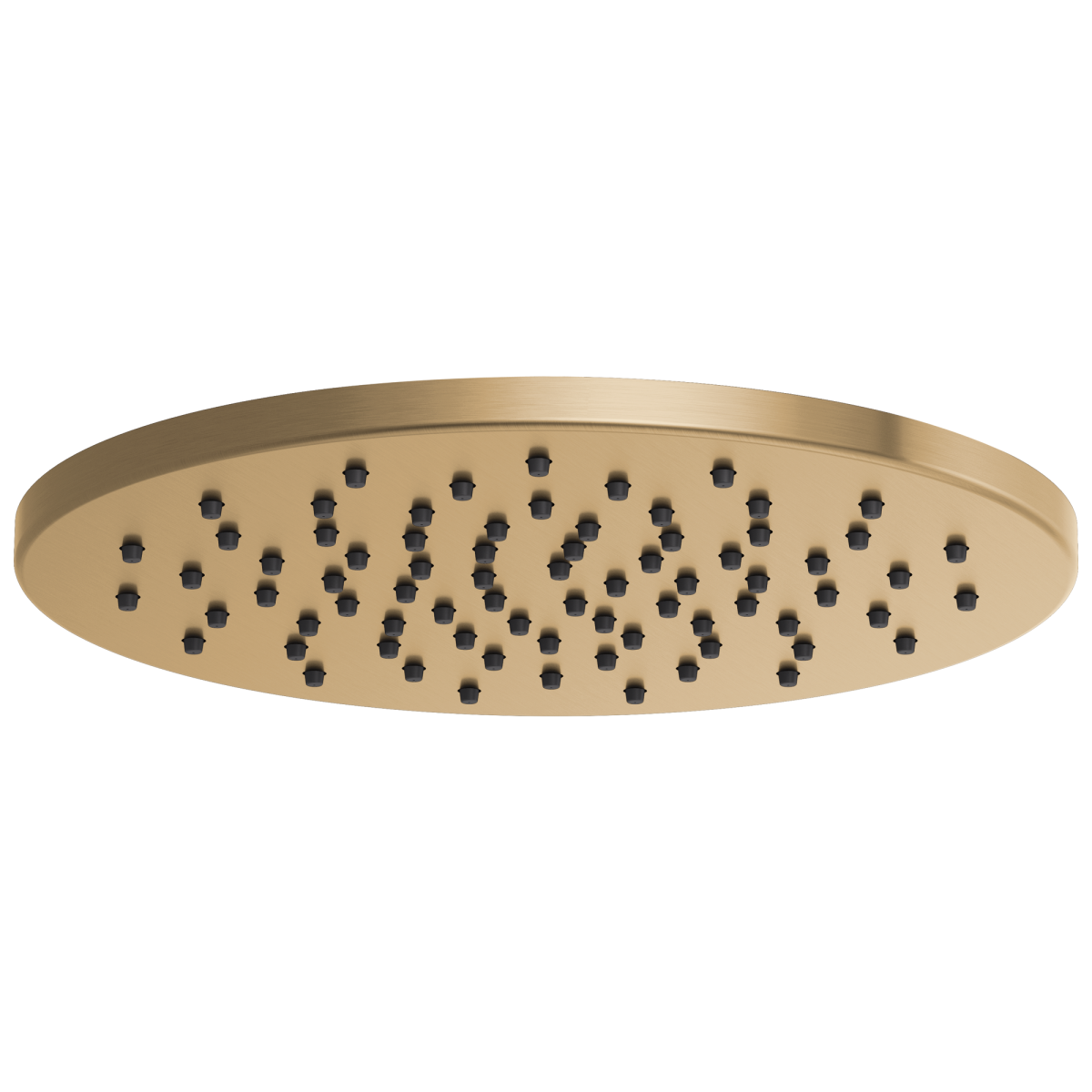 BRIZO Essential Shower 12" Linear Round Single-Function Raincan Shower Head - 1.75 GPM — Luxe Gold