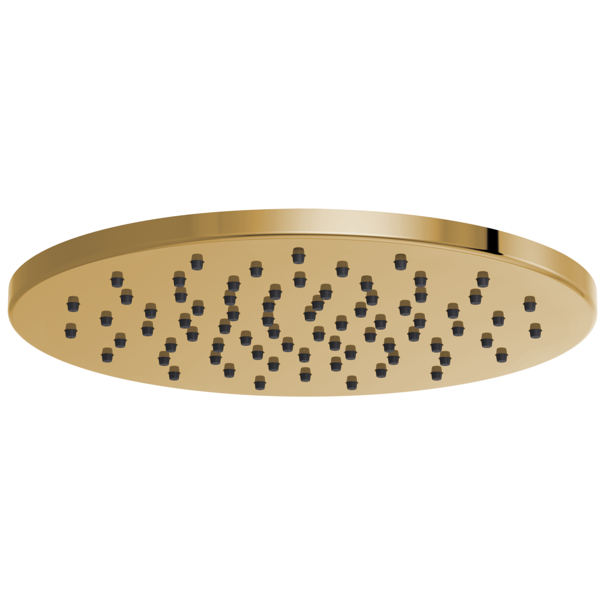 BRIZO Essential Shower 12" Linear Round Single-Function Raincan Shower Head - 1.75 GPM — Polished Gold