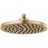 BRIZO Essential Shower 10" Linear Round Single-Function Raincan Shower Head - 2.5 GPM — Luxe Gold