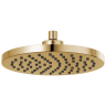 Polished Gold