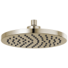BRIZO Essential Shower 10" Linear Round Single-Function Raincan Shower Head - 1.75 GPM — Polished Nickel