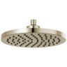 Polished Nickel