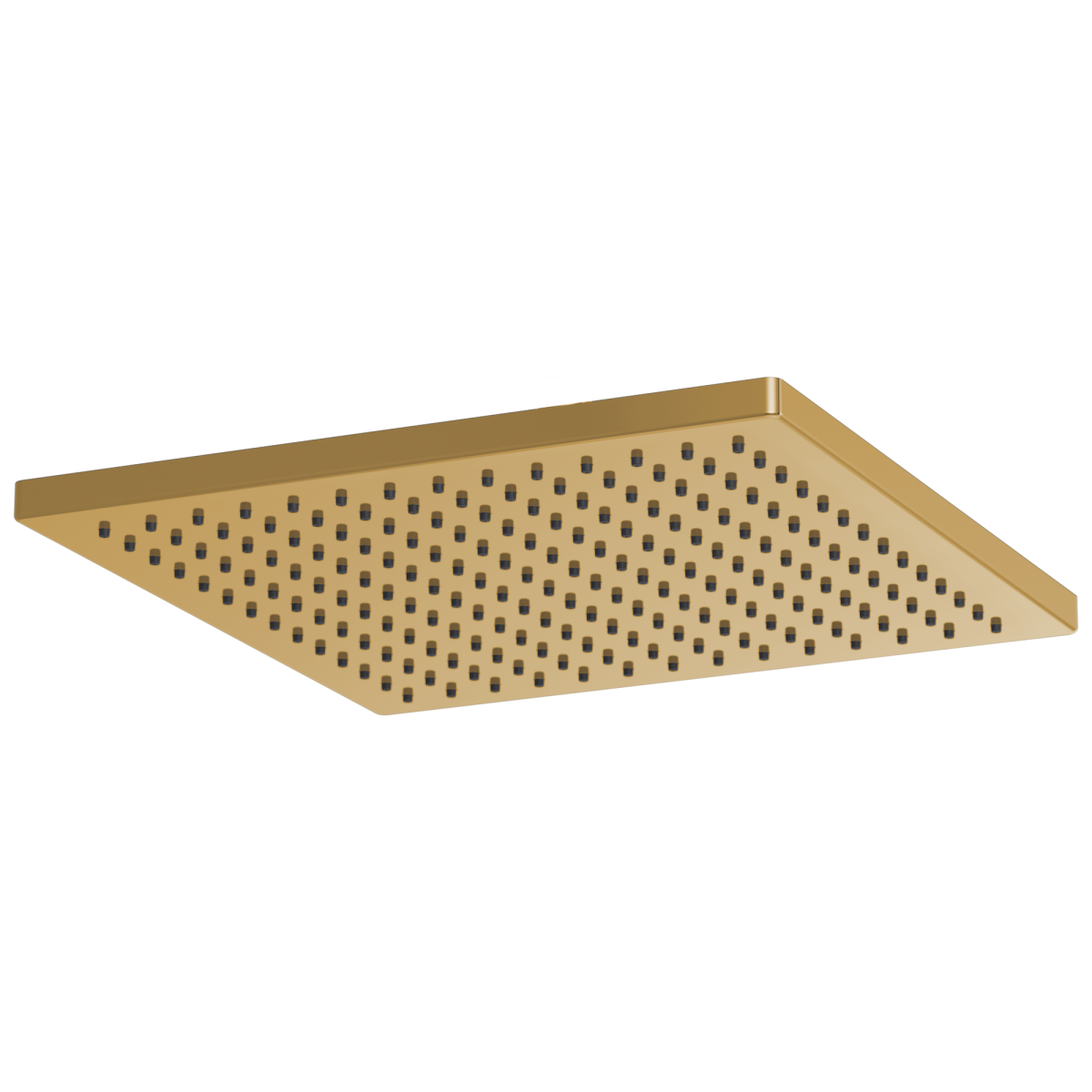 BRIZO Essential Shower 12" Linear Square Single-Function Raincan Shower Head - 2.5 GPM — Polished Gold
