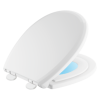 DELTA Sanborne Round Front Slow-Close / Quick-Release Nightlight Family Seat — White