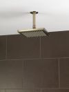 BRIZO Essential Shower 6" Ceiling Mount Shower Arm And Round Flange — Brushed Nickel