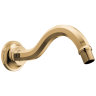 Polished Gold