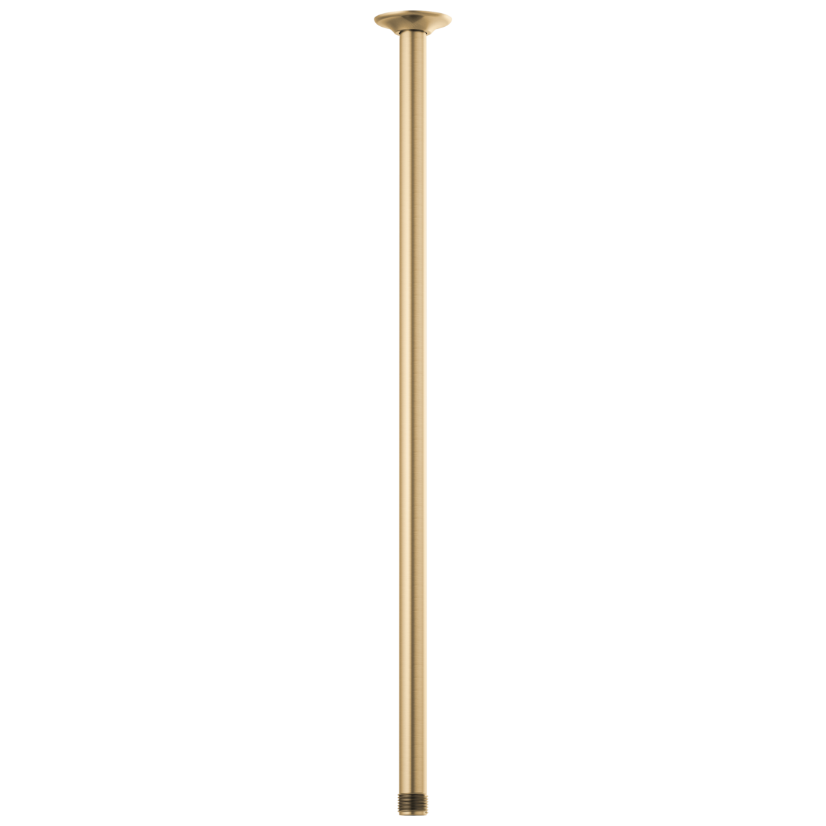 BRIZO Essential Shower 24" Ceiling Mount Shower Arm And Round Flange — Luxe Gold
