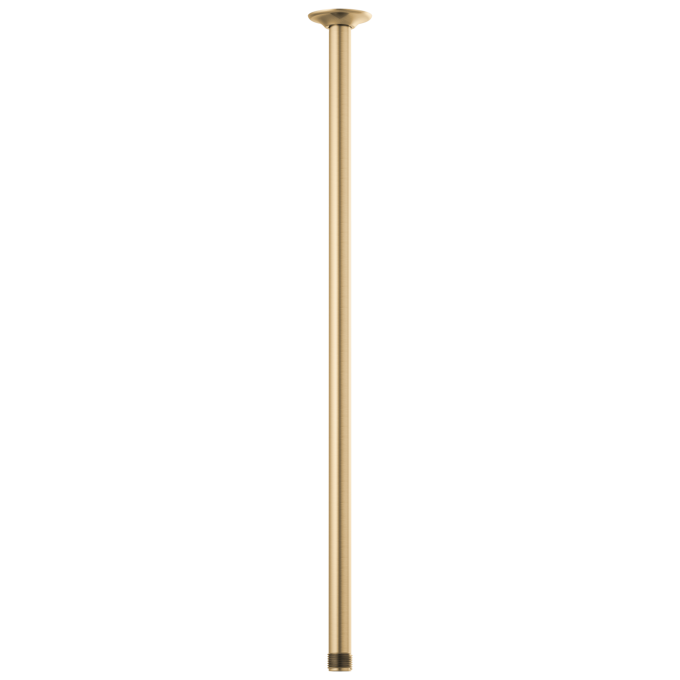 BRIZO Essential Shower 24" Ceiling Mount Shower Arm And Round Flange — Luxe Gold
