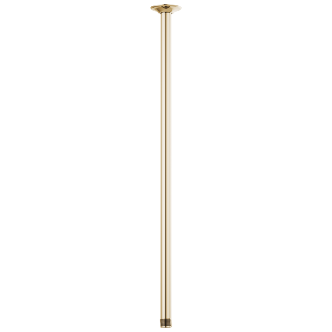 BRIZO Essential Shower 24" Ceiling Mount Shower Arm And Round Flange — Polished Gold