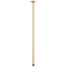 Polished Gold