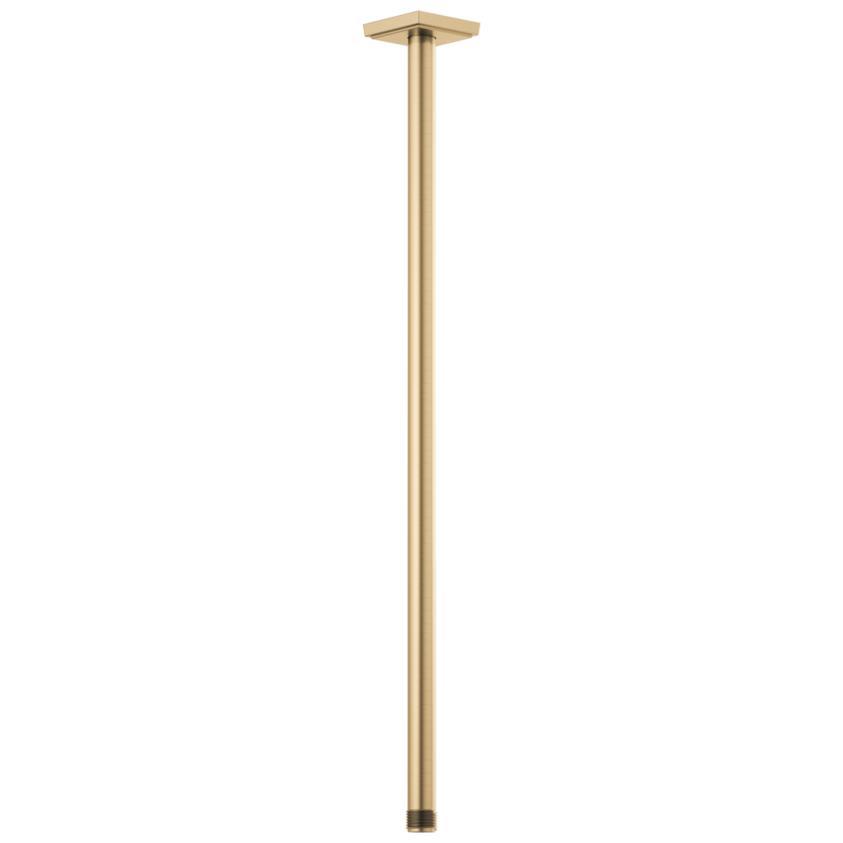 BRIZO Essential Shower 24" Ceiling Mount Shower Arm And Square Flange — Luxe Gold