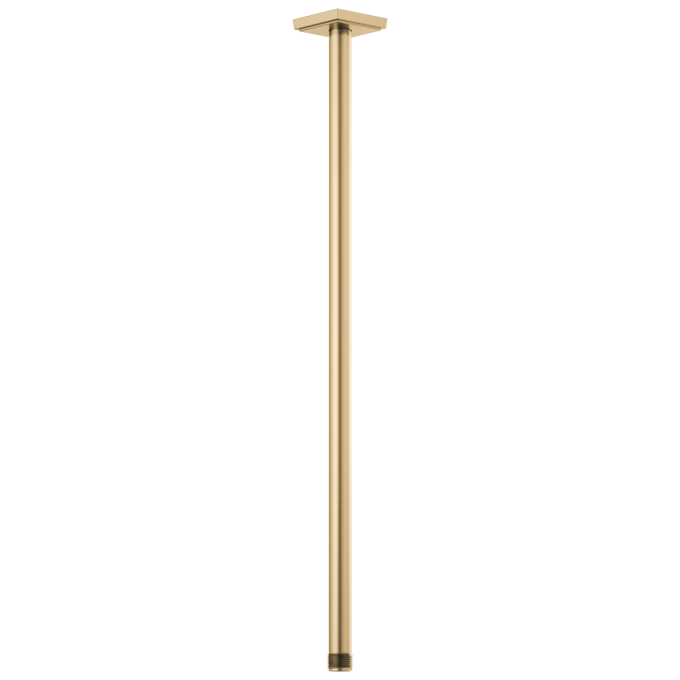 BRIZO Essential Shower 24" Ceiling Mount Shower Arm And Square Flange — Luxe Gold