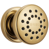 Polished Gold