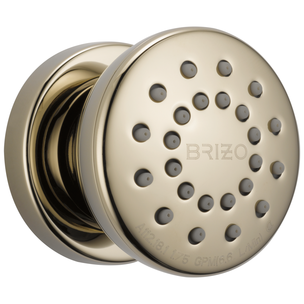 BRIZO Essential Shower Touch-Clean Round Body Spray — Polished Nickel