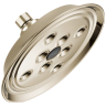 Polished Nickel