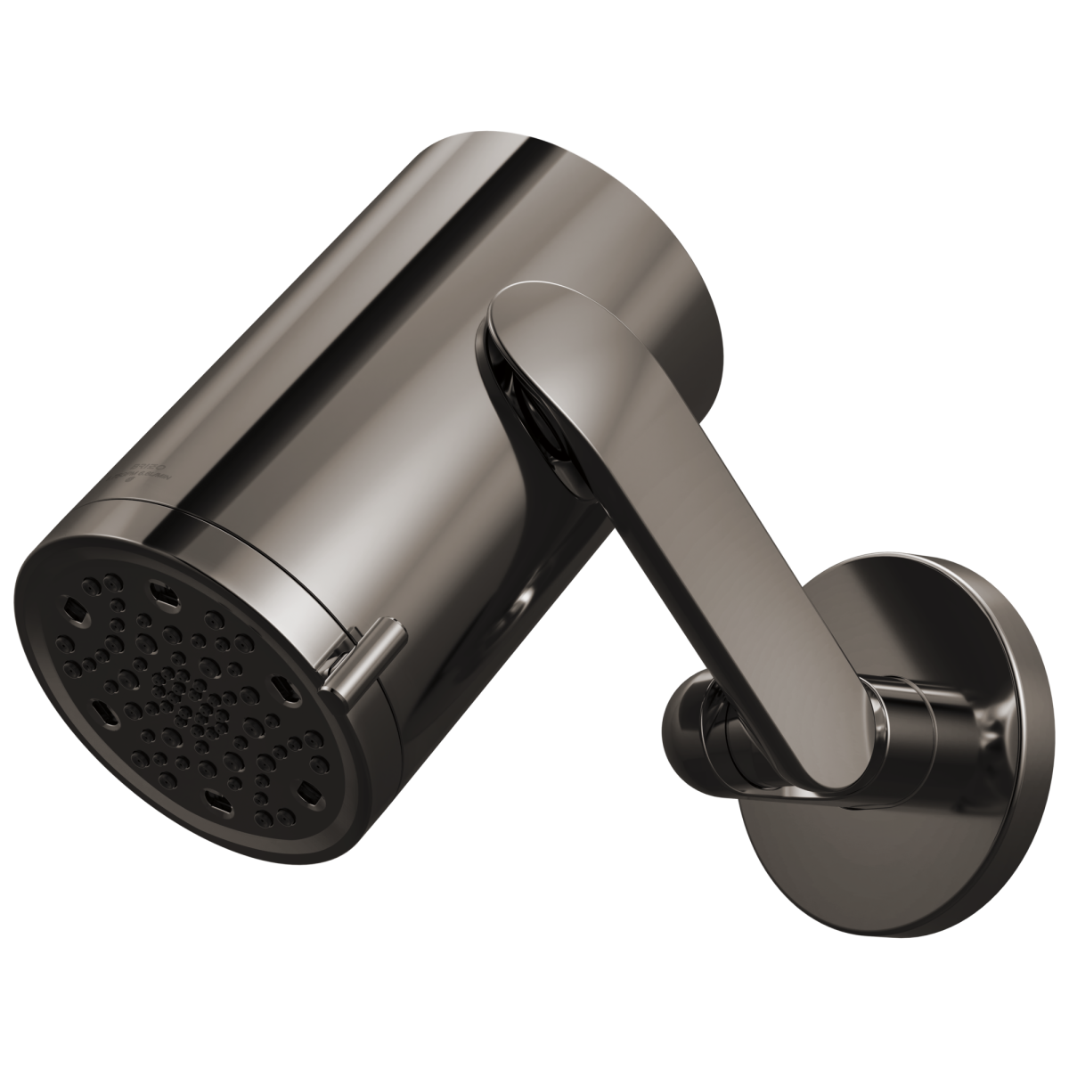 BRIZO Roccesco Multi-Function Sconce Wall Mount Shower Head with Jointed Shower Arm and Flange - 1.75 GPM — Brilliance Black Onyx