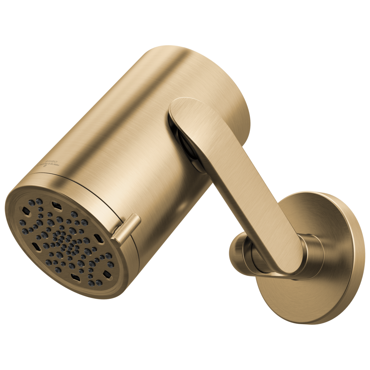 BRIZO Roccesco Multi-Function Sconce Wall Mount Shower Head with Jointed Shower Arm and Flange - 1.75 GPM — Luxe Gold