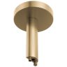 Luxe Gold