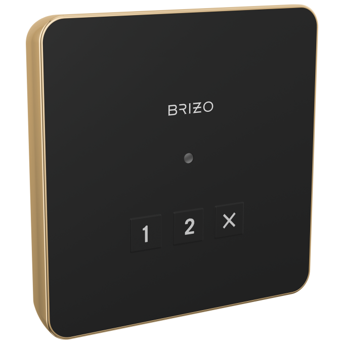 BRIZO Other Elemental Square Exterior Control — Lumicoat® Polished Gold