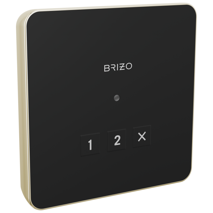 BRIZO Other Elemental Square Exterior Control — Lumicoat® Polished Nickel