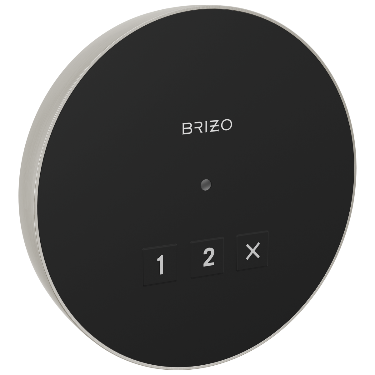 BRIZO Other Elemental Round Exterior Control — Lumicoat® Brushed Nickel