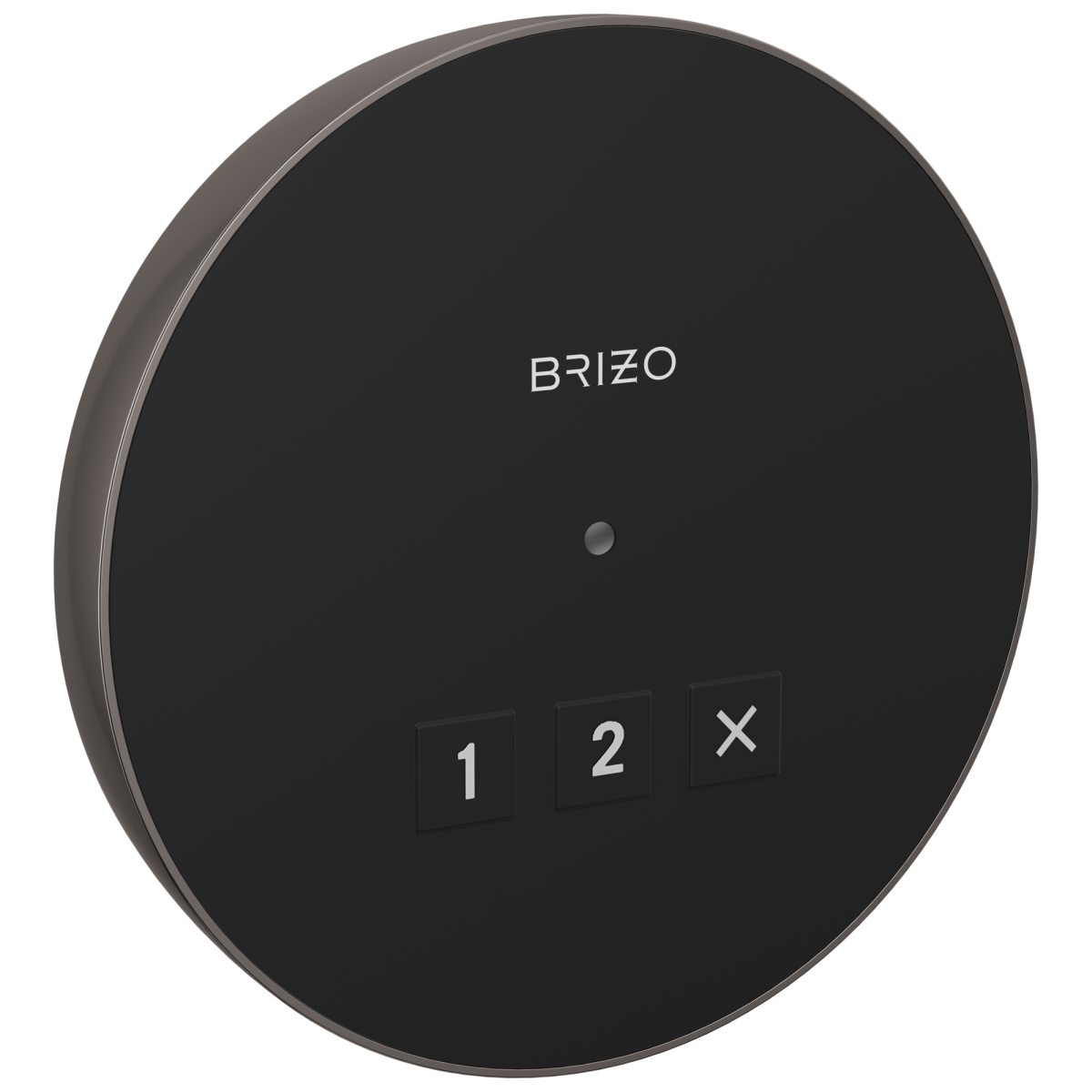 BRIZO Other Elemental Round Exterior Control — Lumicoat® Black Onyx