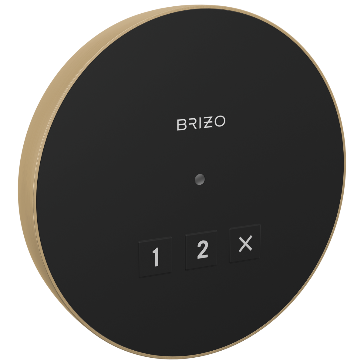 BRIZO Other Elemental Round Exterior Control — Lumicoat® Luxe Gold