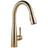Champagne Bronze
