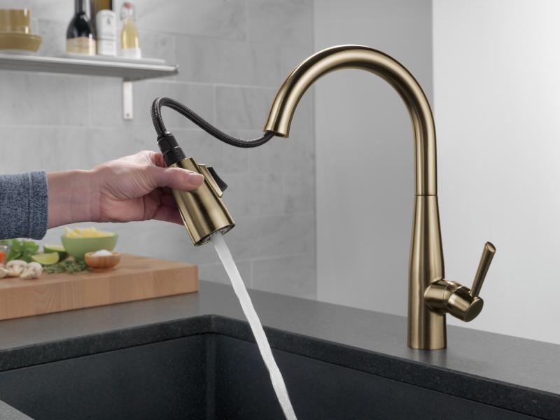 DELTA Essa Single Handle Pull-Down Kitchen Faucet — Champagne Bronze