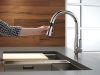 DELTA Essa Single Handle Pull-Down Kitchen Faucet — Chrome