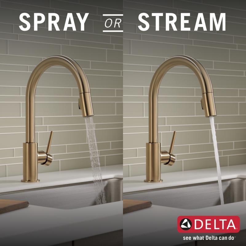 DELTA Trinsic Single Handle Pull-Down Kitchen Faucet — Champagne Bronze