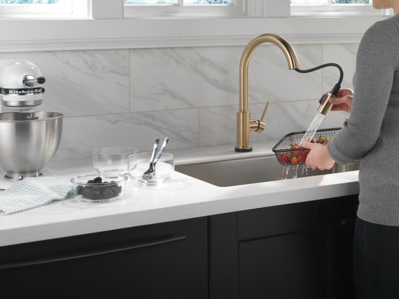 DELTA Trinsic Single Handle Pull-Down Kitchen Faucet with Touch2O Technology — Champagne Bronze
