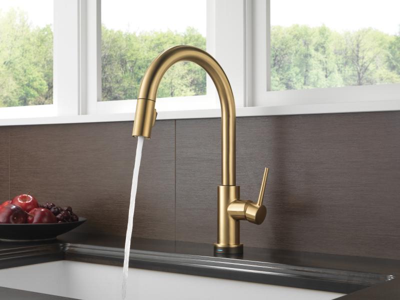 DELTA Trinsic Single Handle Pull-Down Kitchen Faucet with Touch2O Technology — Champagne Bronze