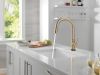 DELTA Trinsic VoiceIQ Kitchen Faucet with Touch2O Technology with Touchless Technology — Champagne Bronze