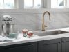 DELTA Trinsic VoiceIQ Single-Handle Pull-Down Kitchen Faucet with Touch2O Technology — Champagne Bronze