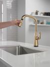 DELTA Stryke Touch2O  Pull-Down Kitchen w/ Voice — Lumicoat® Champagne Bronze